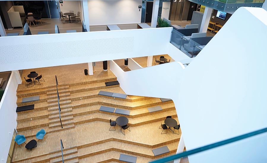 International Contractors: Denmark